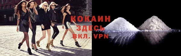 дурь Новодвинск