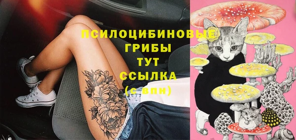 apvp Новокубанск