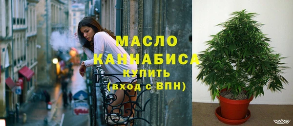 дурь Новодвинск