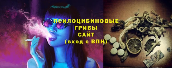 дурь Новодвинск