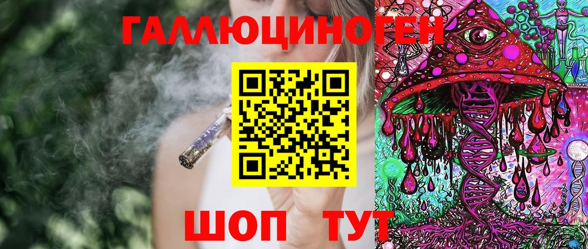 Псилоцибиновые грибы Cubensis Торжок