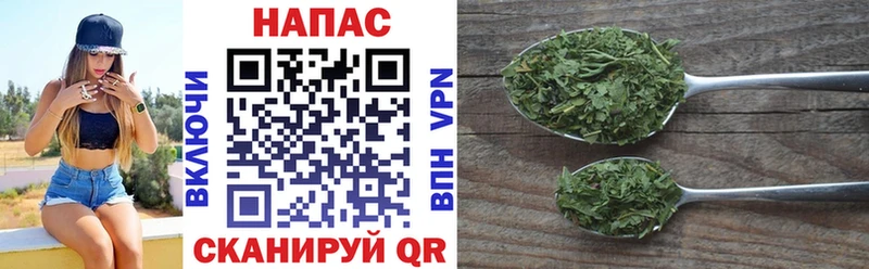 Марихуана конопля  гидра как зайти  Торжок 